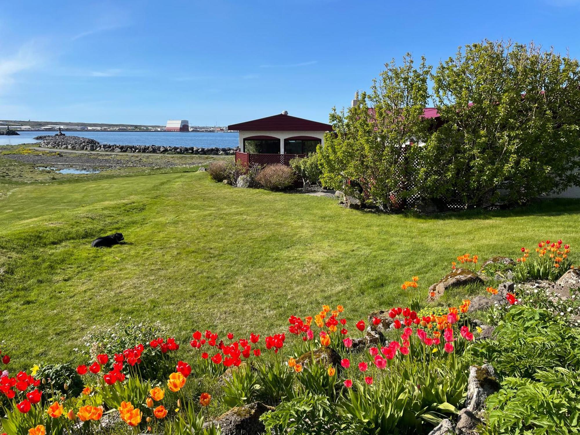 Alka - Cozy Room By The Sea With Private Hot Tub Njarthvik Exterior photo